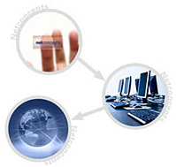 第三重創就業服務：多元化就業渠道，暢通無阻。