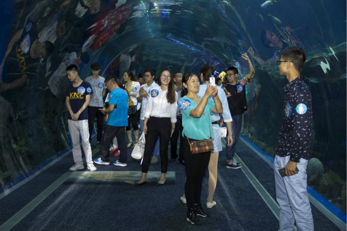 夏令營第二季,新華學子一起遨游海洋王國