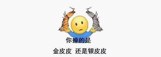 最近刷屏的“皮皮蝦”你知道是什么梗嗎?來,走起