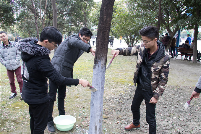 植樹節，四川新華師生在行動！