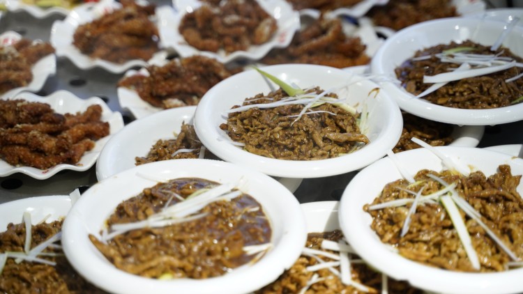 同學(xué)們深夜慎點(diǎn)!“舌尖上的新華”來啦~